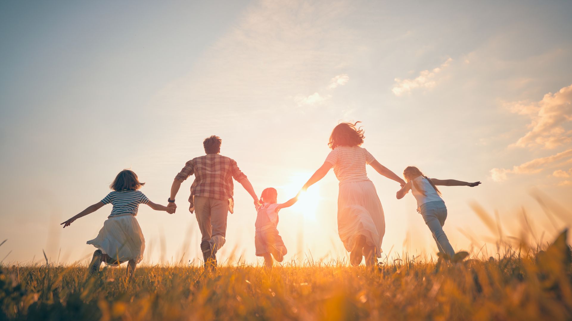 Familie läuft Hand in Hand durch eine Wiese – symbolisiert die Verbundenheit und das Verständnis zwischen Eltern und Kindern.